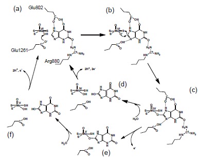 Fig. (6)