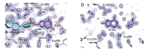 Fig. (7)