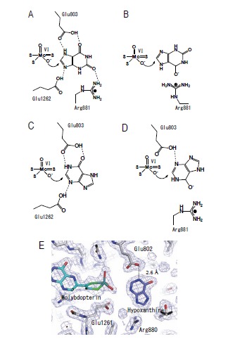 Fig. (5)