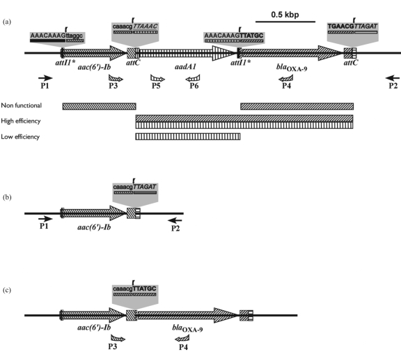 Figure 1