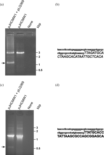 Figure 2