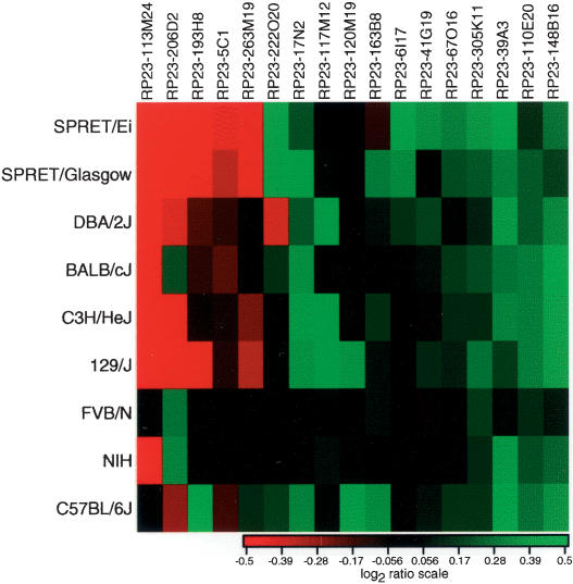 Figure 3.