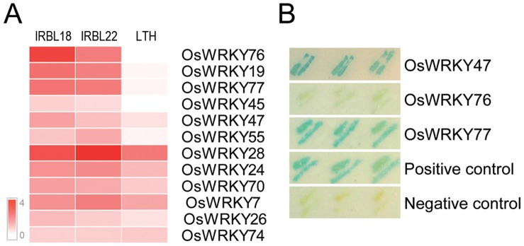 Figure 7