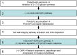 Fig 10