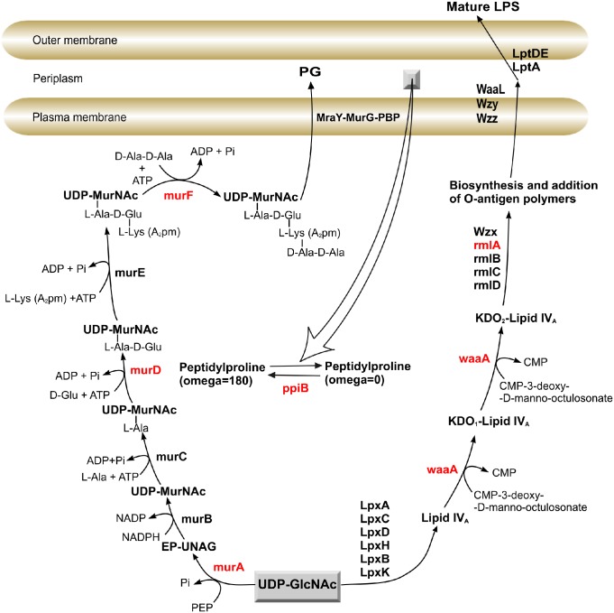 Fig 1