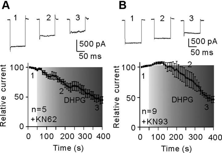 Figure 10.