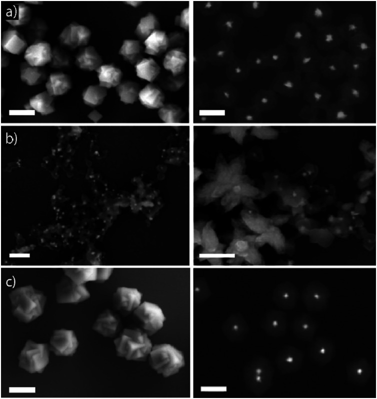 Fig. 10