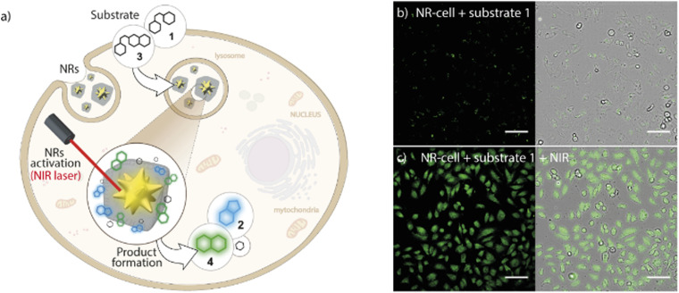 Fig. 16