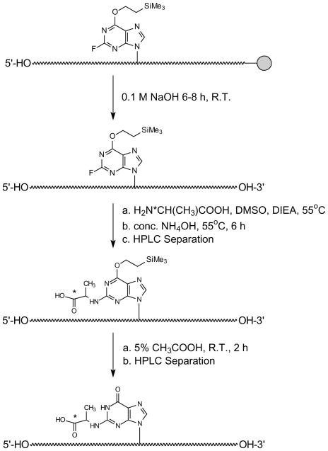 Scheme 2