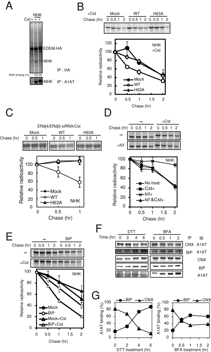 FIGURE 5: