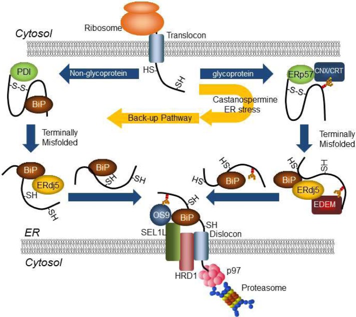 FIGURE 6: