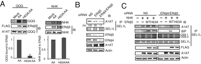 FIGURE 4: