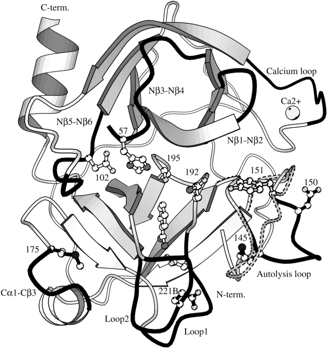 Figure 5.