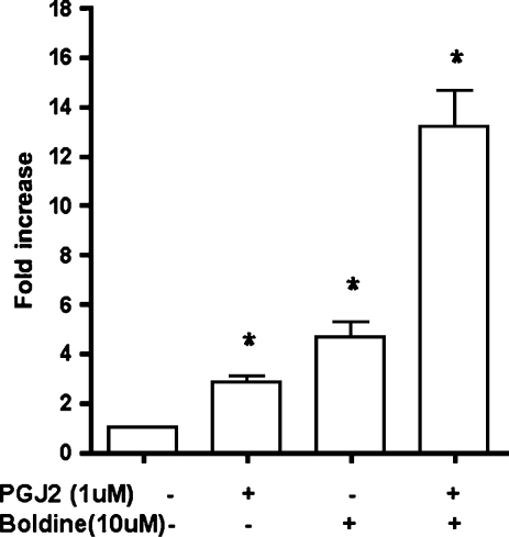 FIG. 5.