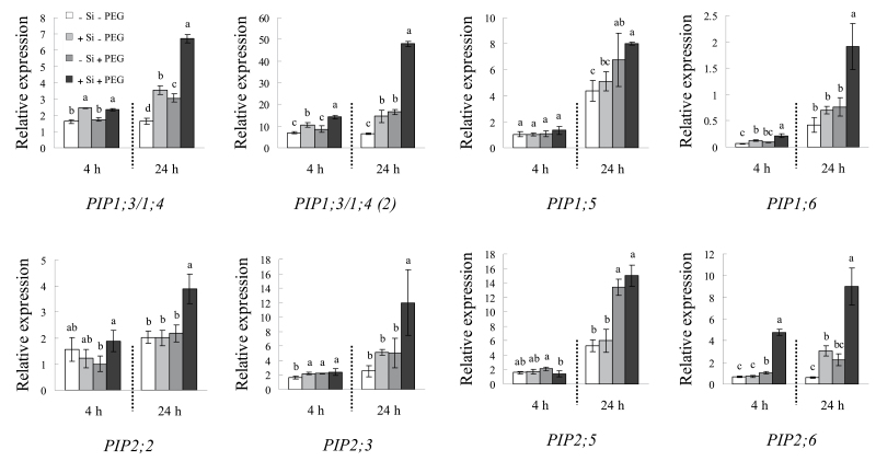 Fig. 9.