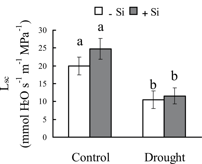 Fig. 10.