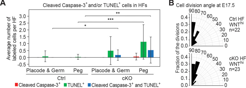 Figure 4—figure supplement 1.