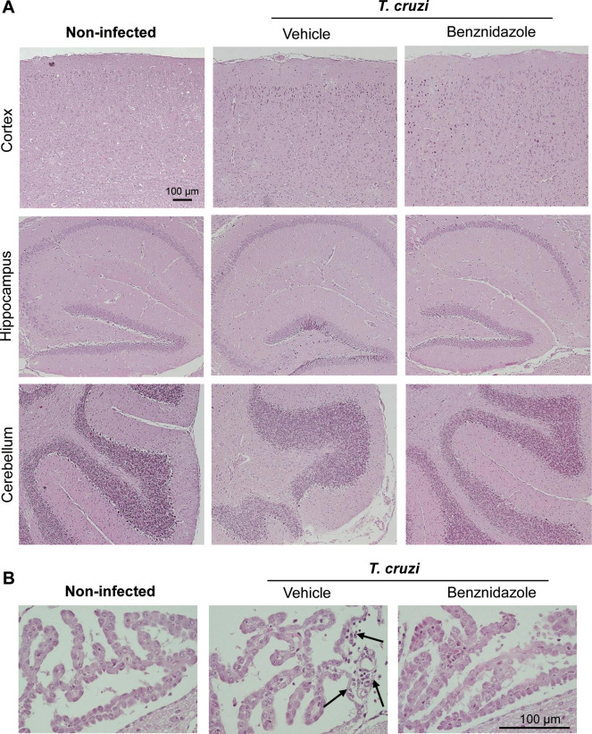 Fig 5