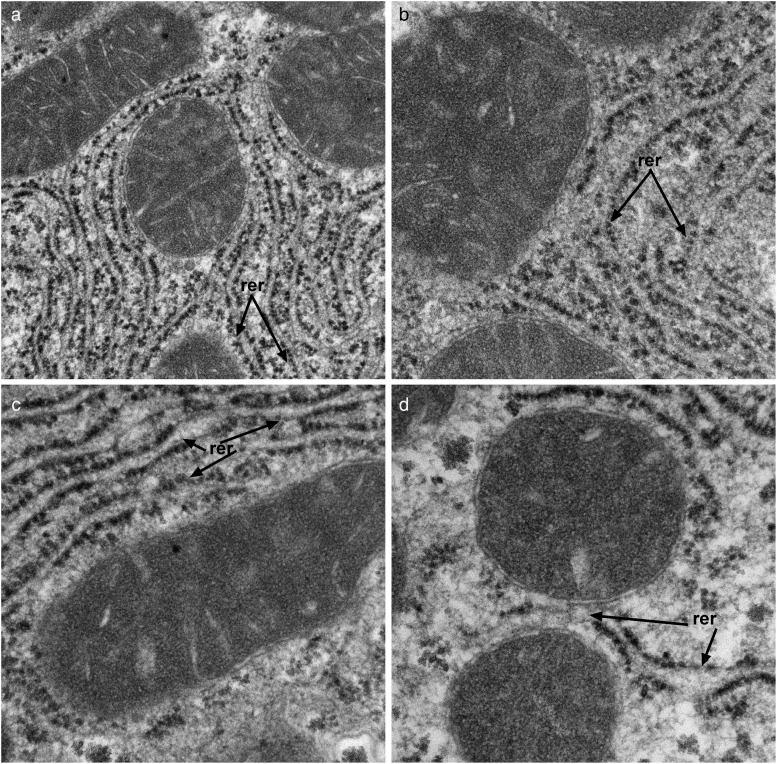 Fig. 3C.