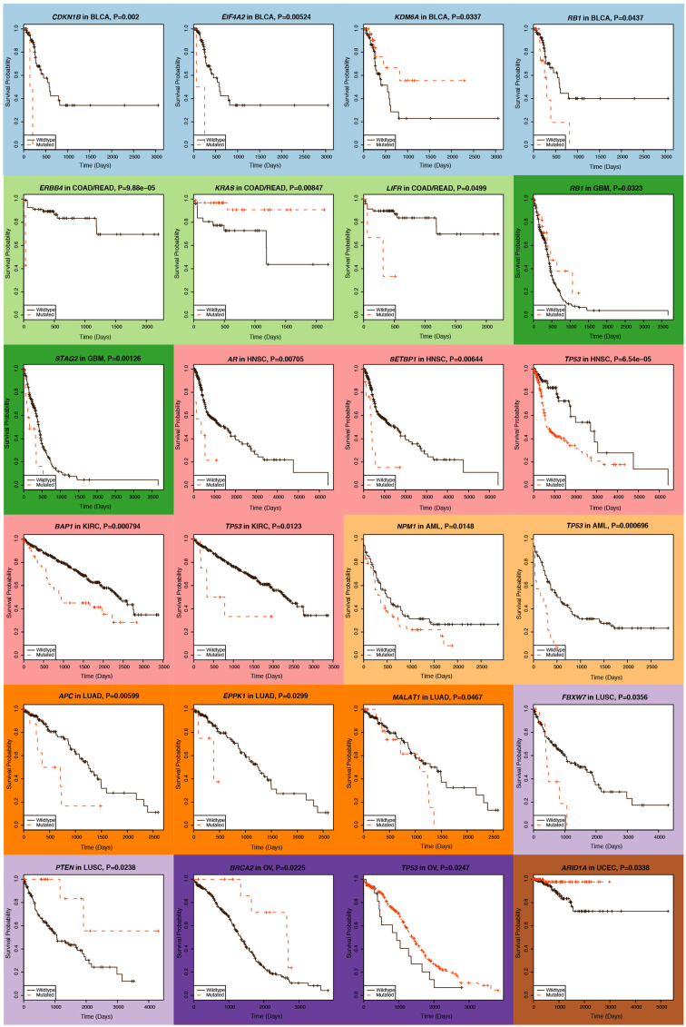 Extended Data Figure 6