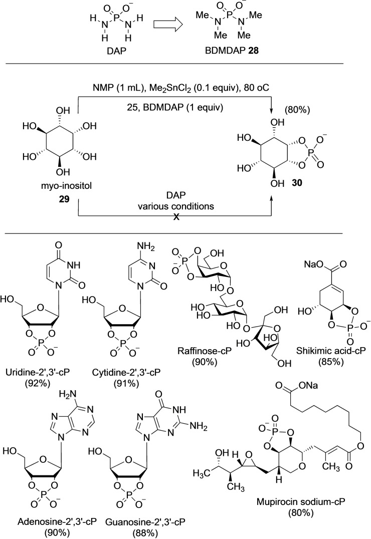 Scheme 7