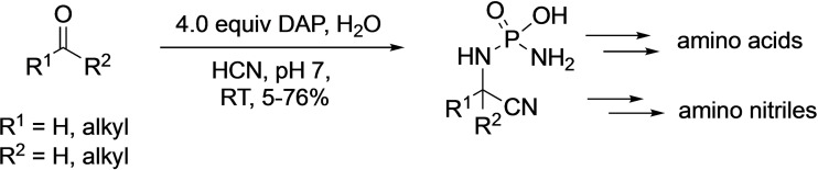 Scheme 5