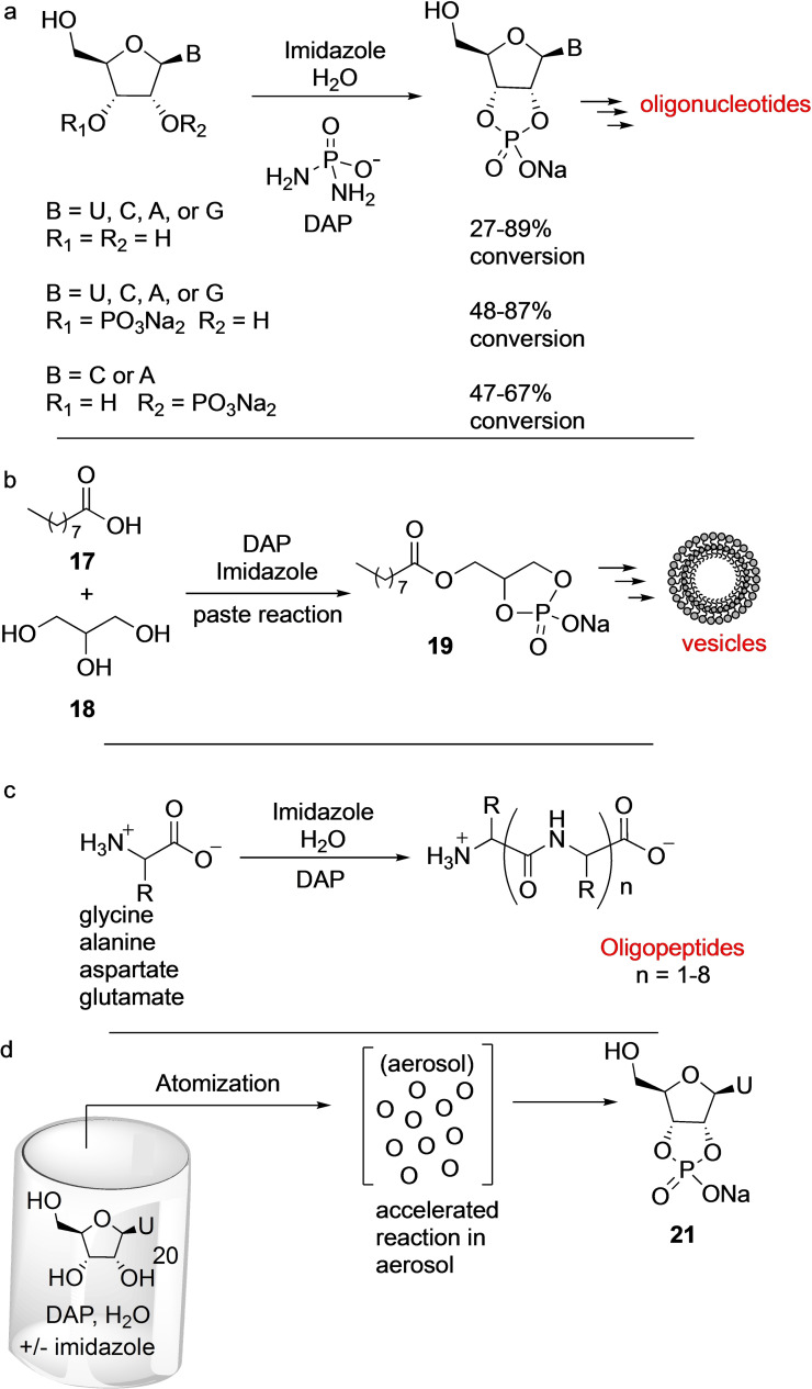 Scheme 3