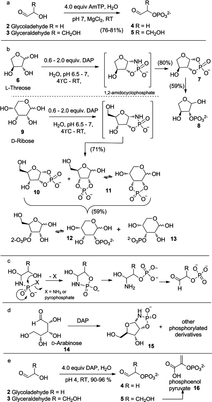 Scheme 2