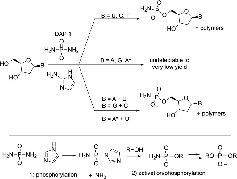 Scheme 6