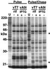 FIG. 8