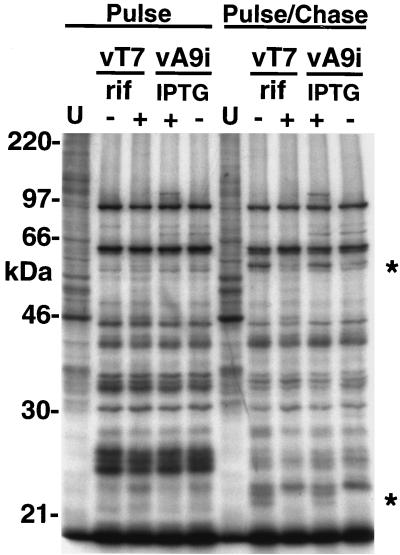 FIG. 8