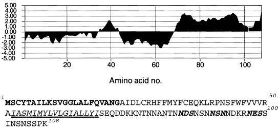 FIG. 1