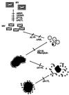 FIG. 10