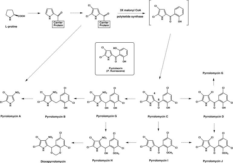 FIG. 1.