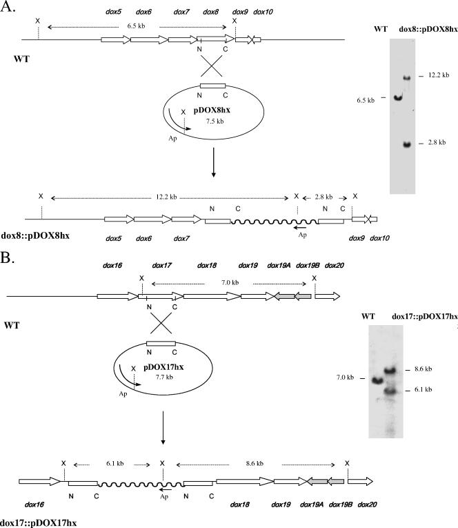 FIG. 2.