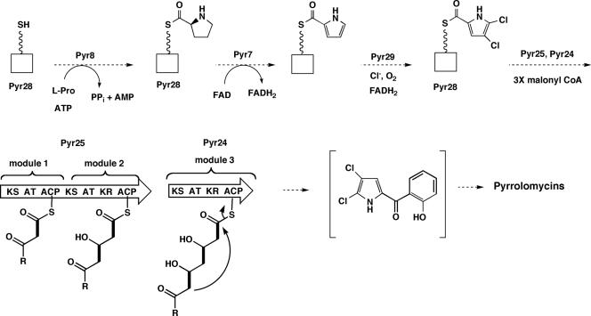 FIG. 5.