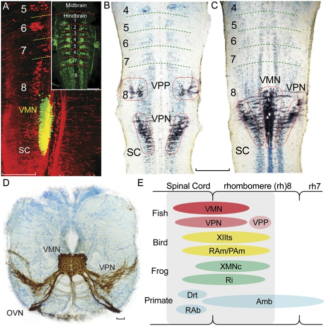 Fig. 3.