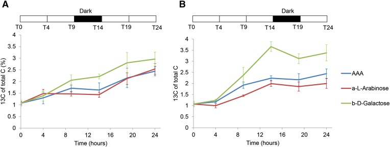 Figure 7.