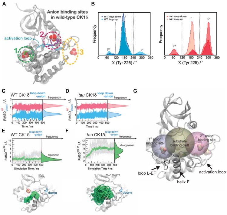 Figure 4—figure supplement 1.