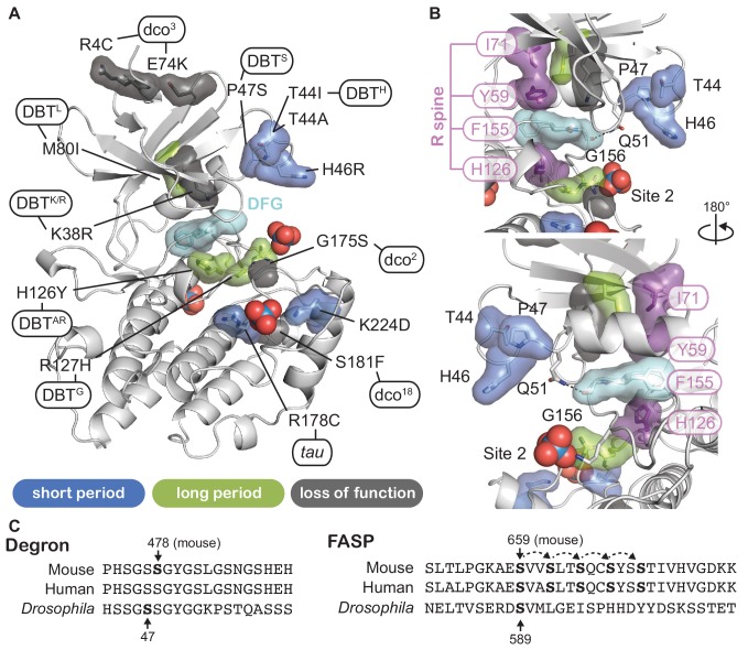 Figure 6.