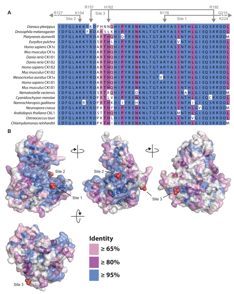 Figure 6—figure supplement 1.