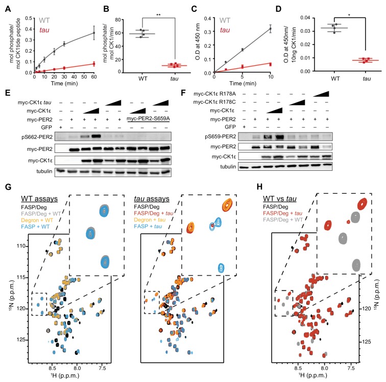 Figure 1—figure supplement 1.