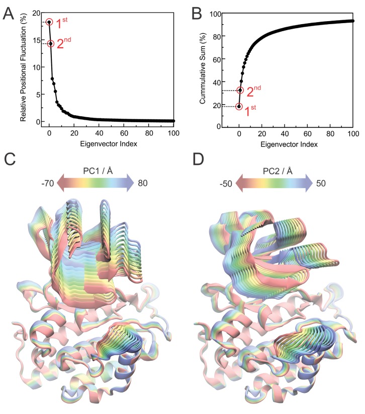 Figure 5—figure supplement 1.