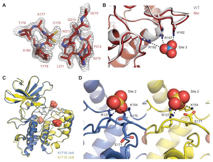 Figure 2—figure supplement 1.