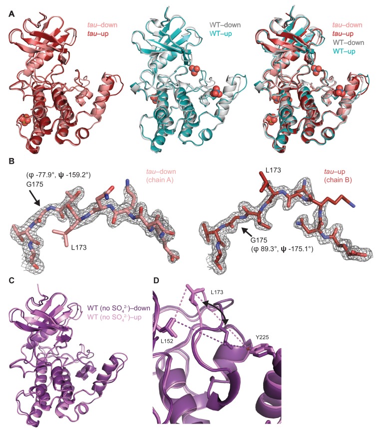 Figure 3—figure supplement 1.