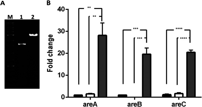 FIG 1