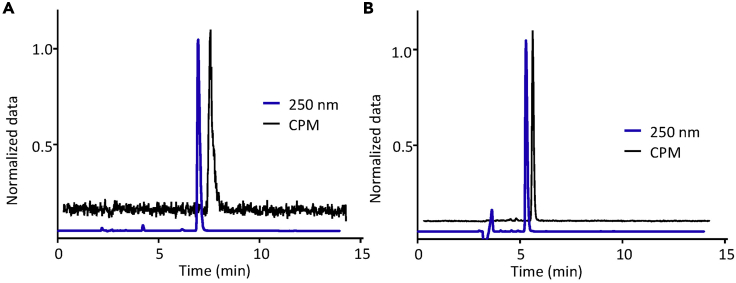 Figure 5