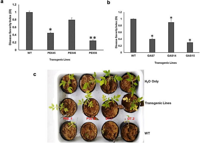 Fig.3