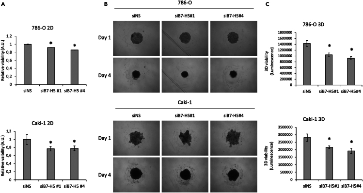 Figure 4