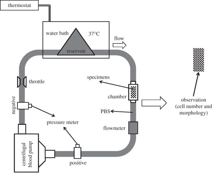 Figure 1.